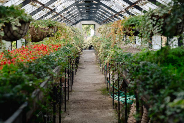 مشاتل بالرياض